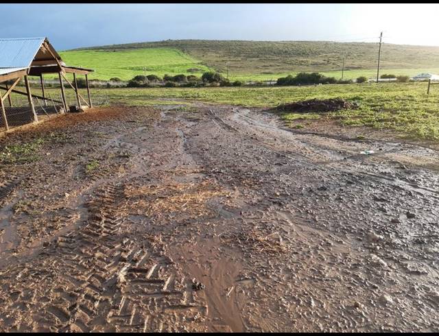 FARM FOR SALE IN RIVERSDALE